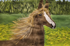 Adelina Antoshkina, 11 Jahre