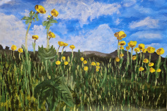 Adelina Antoshkina, 11 Jahre