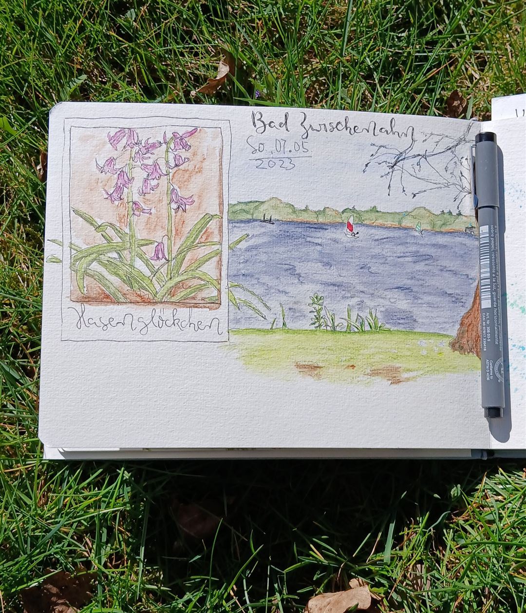 Im Gras liegendes Skizzenbuch mit Aquarellmalerei von Michaela Lewitz