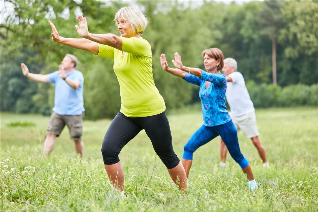 Gruppe von Frauen und M&auml;nnern praktiziert Qigong auf einer Wiese