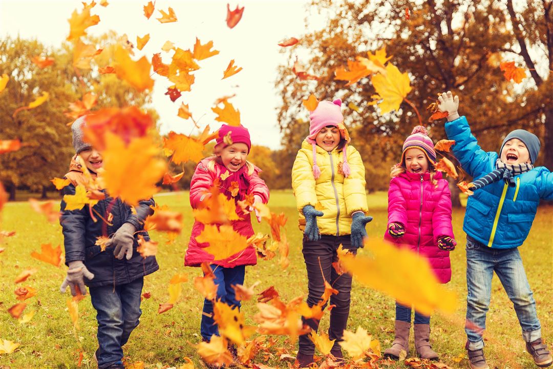 Gruppe von Kindern tobt auf einer Wiese im Laub