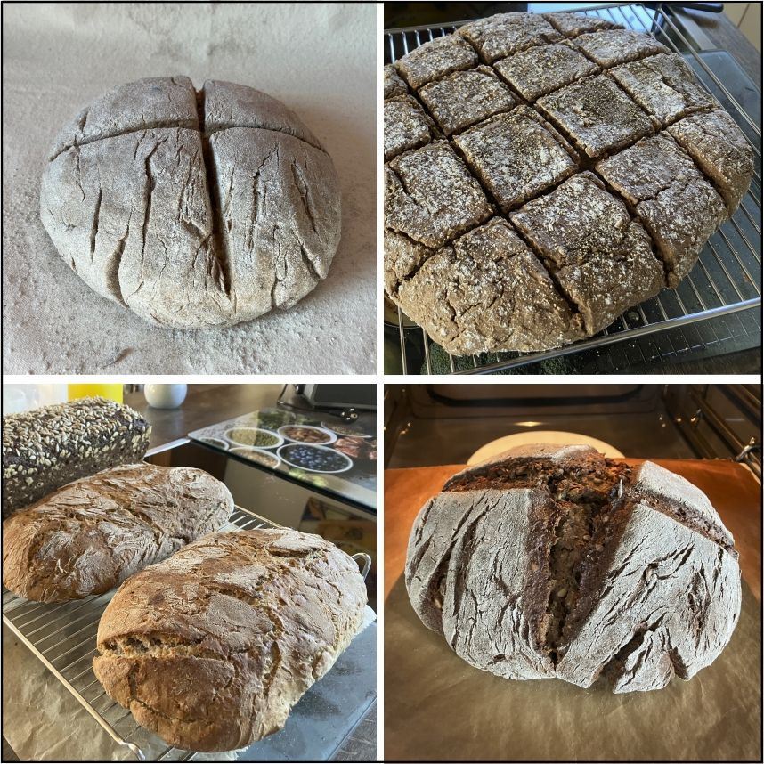 Zusammenschau verschiedener Brote, gebacken von Bernhard Block 