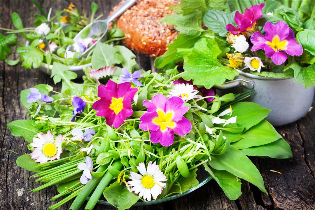 Teller und Schale mit gesammelten Wildkr&auml;utern und essbaren Bl&uuml;ten