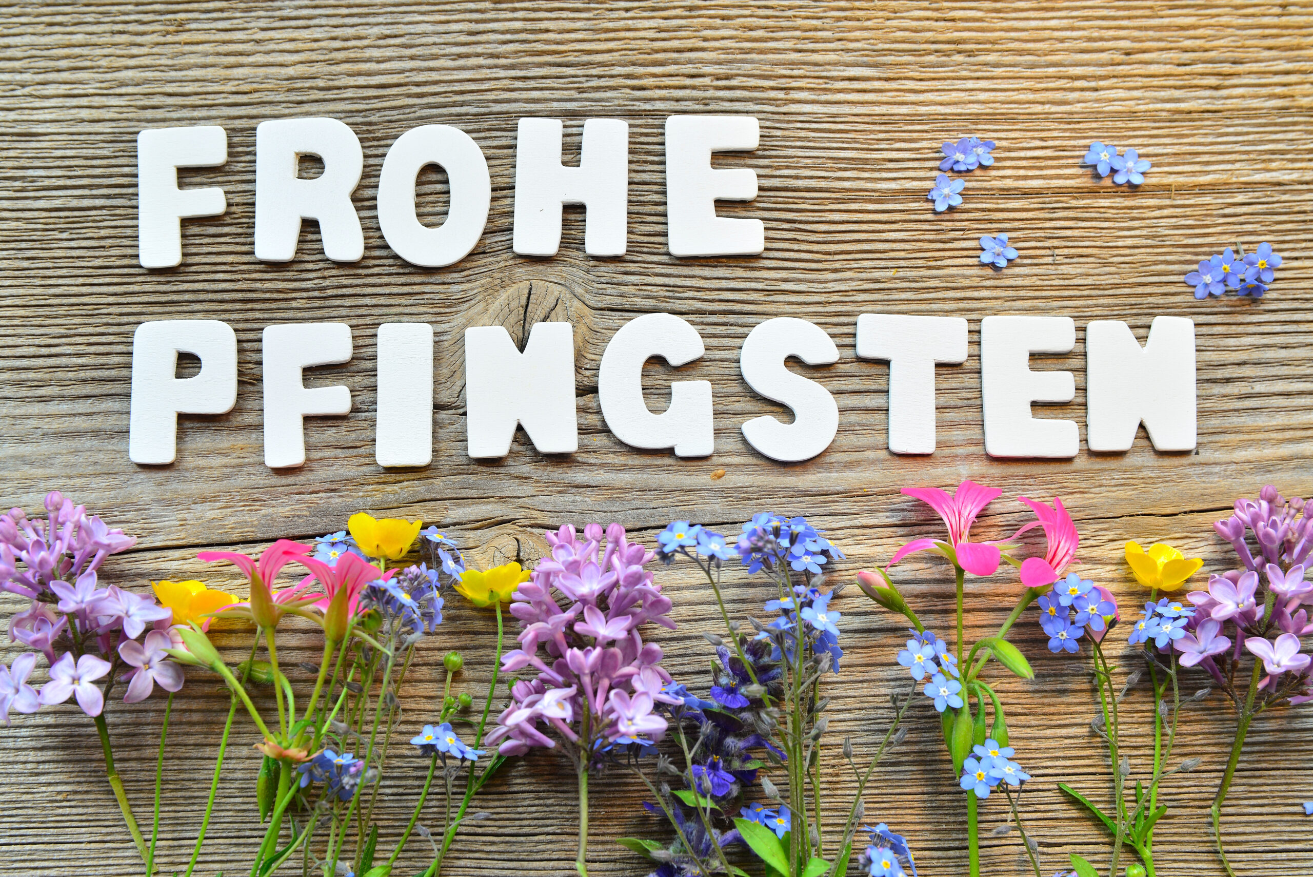 Schriftzug "Frohe Pfingsten" liegt mit Blumen auf Holztisch